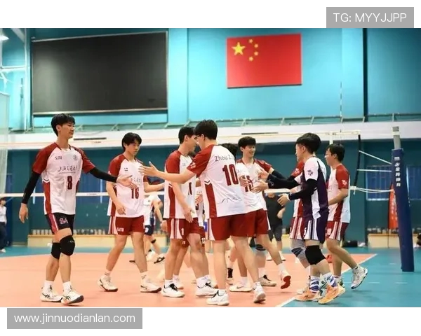 上海排球队比赛经验深度对比与分析揭示战术优势与不足之处